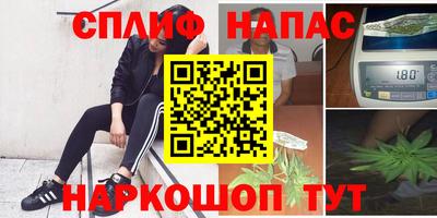 винт Тара