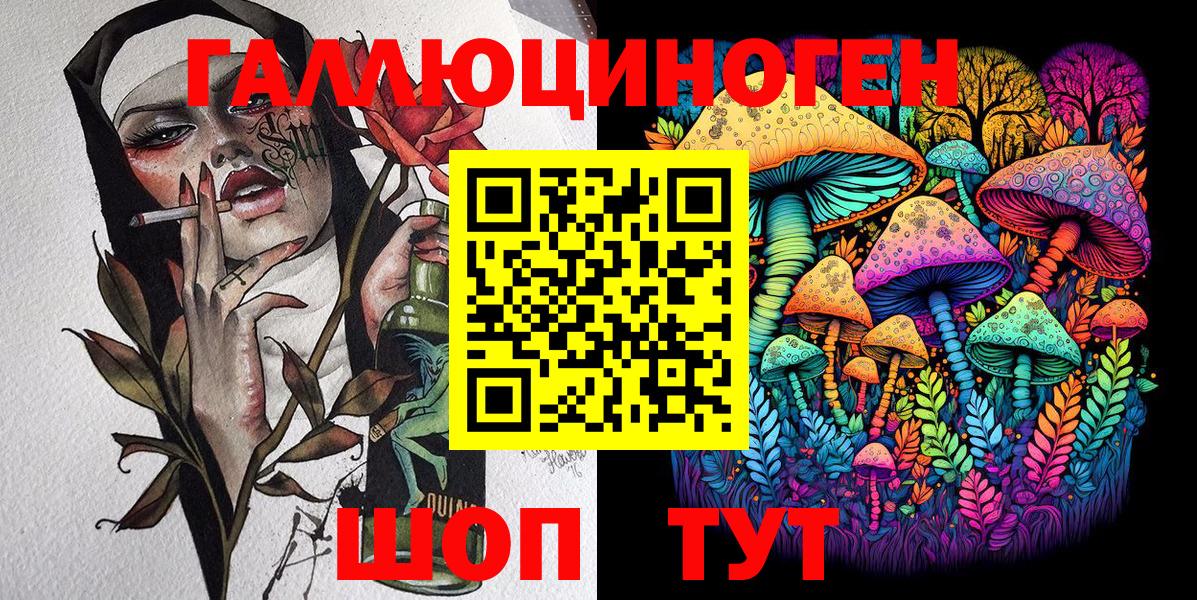 Псилоцибиновые грибы Psilocybine cubensis Можайск