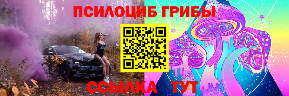 Псилоцибиновые грибы GOLDEN TEACHER  Вход с VPN  Можайск 